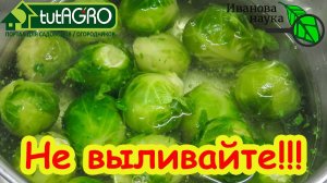 ЧУДО КАПУСТНОГО ОТВАРА: никогда не выливайте отвар овощей. Вот что надо с ним сделать.