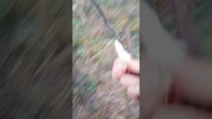 VID_20250926_191104.mp4
