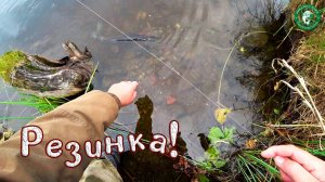 ВЫСТАВИЛИ РЕЗИНКУ И ВОТ ОНА ПОКЛЁВКА! ЩУКА, НА ДЕДОВСКИЕ СНАСТИ НА ЖИВЦА РАБОТАЮТ, А ДРУГ НЕ ВЕРИЛ!