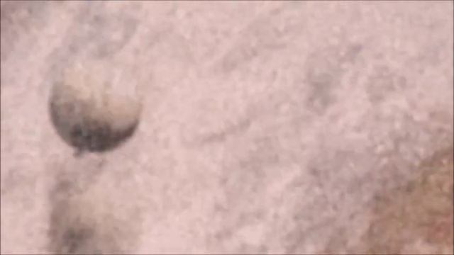 Видео НЛО и планет 1900-х годах