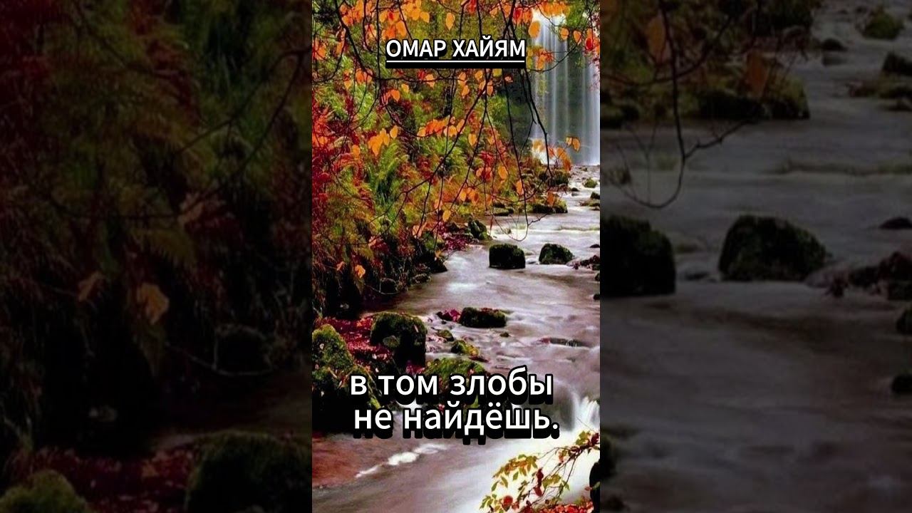 #shorts Омар Хайям И с другом и с врагом... смотреть онлайн