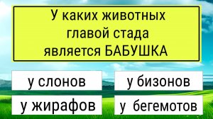 Тест для эрудитов 🤯 Викторина, которую проходят не все  #тестнаэрудицию #тесты #эрудиция