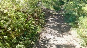 Впервые.. Прокатился на 2т