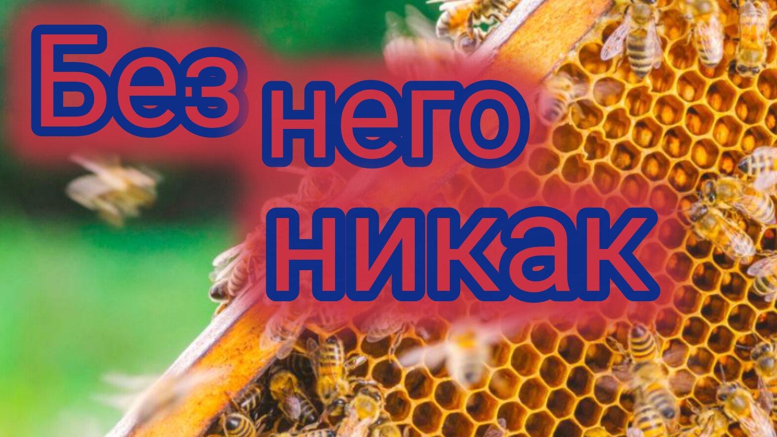 Без него никак 🐝💉🐝🐝 смотреть онлайн