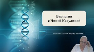 Задача на кумулятивную полимерию