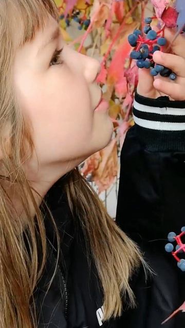 Осенний Вайб