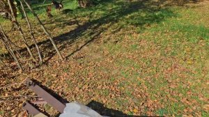 На дачу. Косим. Охотник. Первый закат с террасы