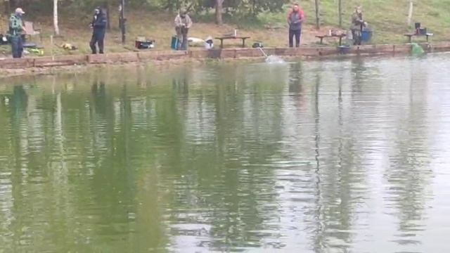 WhatsApp Video 2025-09-27 at 09.45.03 смотреть онлайн