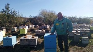 комментарий к видеоролику по степной