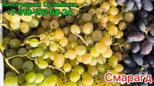 Велика, Смарагд, Гурман ранний ( на рынке)