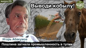 Выводи кобылу!  Сельский час #278 (Игорь Абакумов)