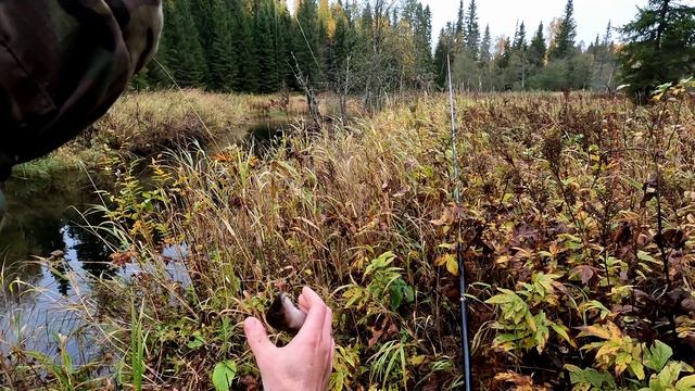 Рыбалка на хариуса