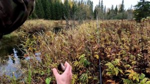 Рыбалка на хариуса