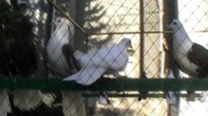 27.09.2025г. Ярмарка в Харцызске.