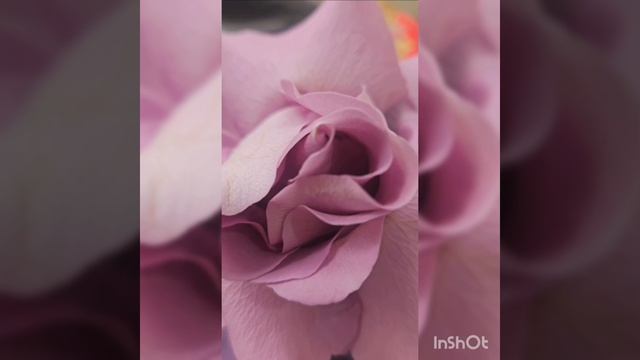 Песня НЕСИ СВОЙ КРЕСТ смотреть онлайн