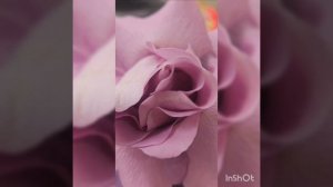 Песня НЕСИ СВОЙ КРЕСТ