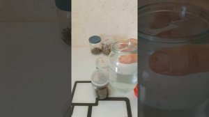 Анализ заклещённости пасеки после обработок