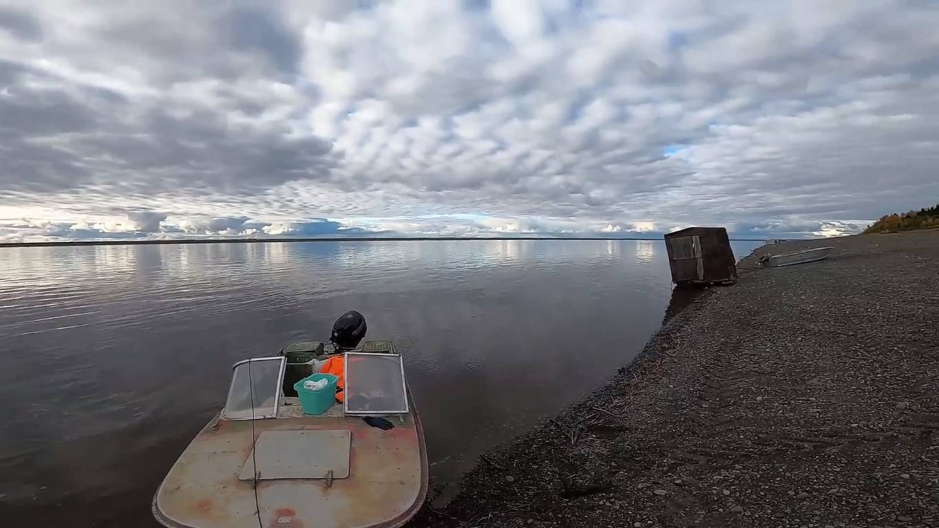 Рыбалка на Енисее неводом. За ряпушкой в половодье. смотреть онлайн