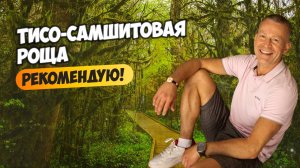 Тисо-самшитовая роща. Прогулка. Очень рекомендую!