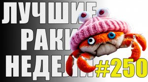 ЛРН выпуск №250 🤪 ЮБИЛЕЙНОЕ РАКООБРАЗИЕ 🤪  [Лучшие Раки Недели]