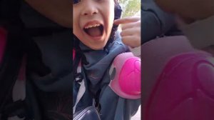 ролики коты