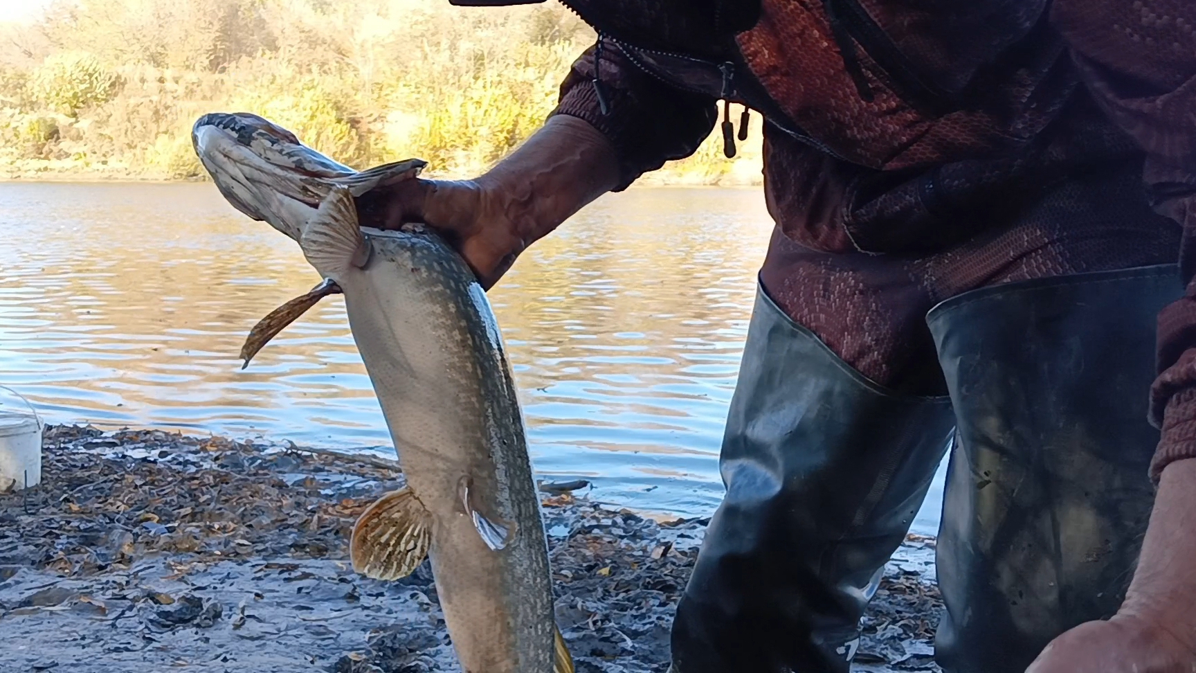 Проверка закидушек.27.09.25г. смотреть онлайн
