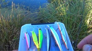 РЫБАЛКА НА ВОБЛЕРЫ! Рыбалка на СПИННИНГ с берега! Твичинг воблеров2021!