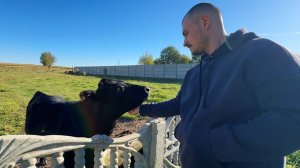 Все этого ждали. Жена уехала из дома. Приходится пробивать дорогу. Нас ждет сюрприз.