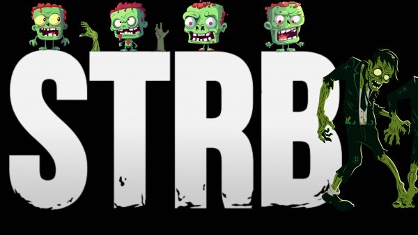 STRB Gaming Community V2.0