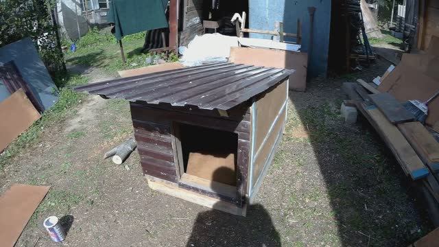 Как легко сделать будку для собаки.