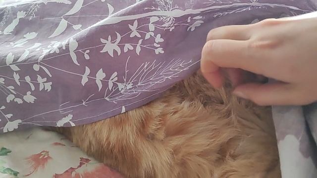 Валятельная суббота при нелётной погоде☁🌧💨 смотреть онлайн