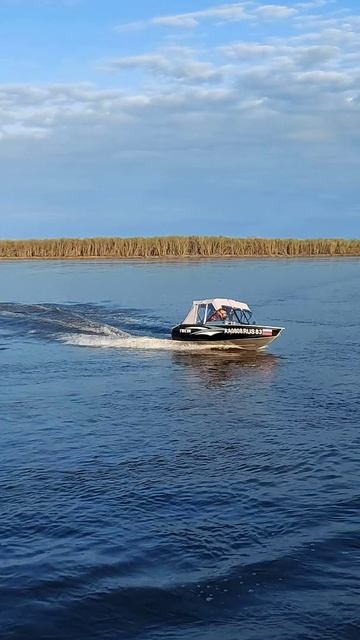 Триера 431 фиш поворот без прохватов! смотреть онлайн