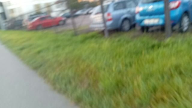 10584.mp4 смотреть онлайн