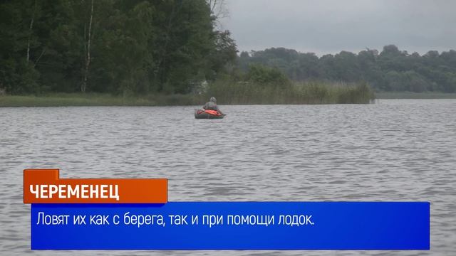 Череменецкое озеро