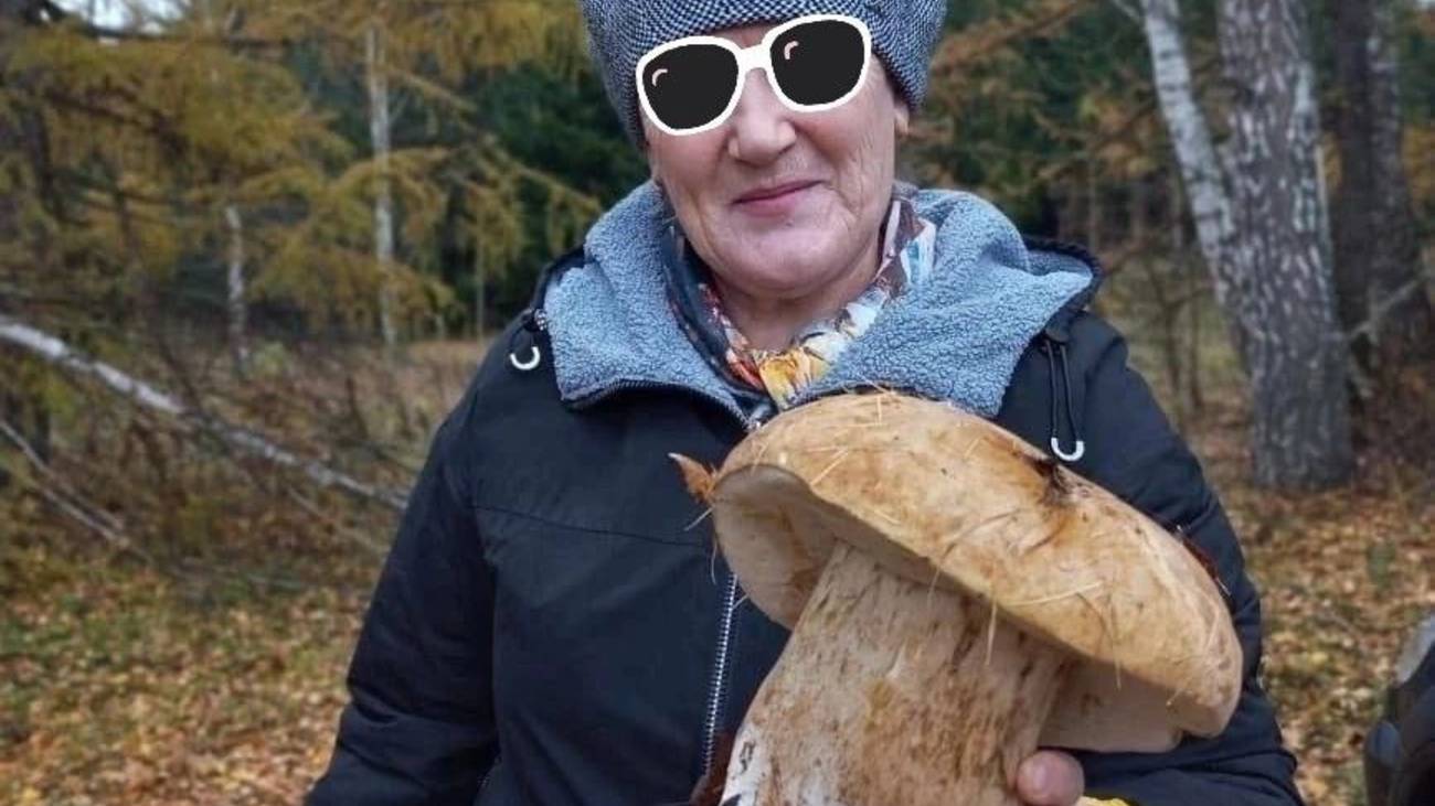 ГРИБЫ !🔥 мой поход в ЛЕС за грибами в подмосковье! Свежак! 1 часть! смотреть онлайн