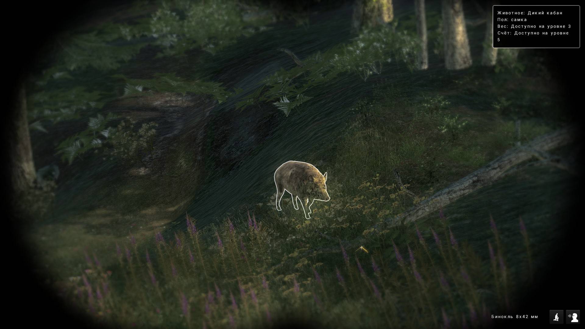 TheHunter Classic пытаюсь пройти миссию на кабана в районе 3х озёр  добыть 2 за одну сессию игры 1