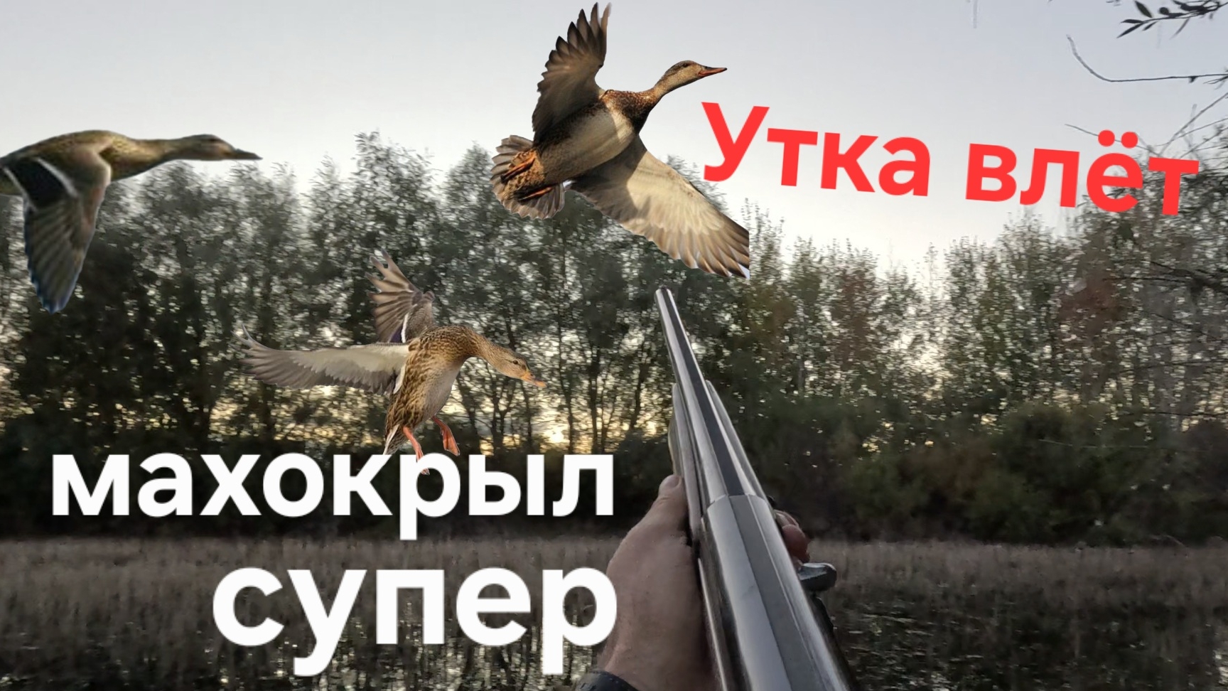 Охота на утку.Супер Махокрыл смотреть онлайн