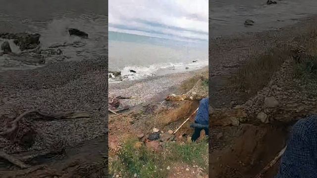 Приморское источник на море сегодня 27 сентября 2025г