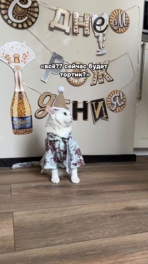 Ждем видео, где вы извиняетесь и кланяетесь с тортом! Весь праздник испортили!