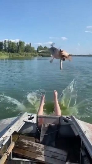 прыжок 10 из 10