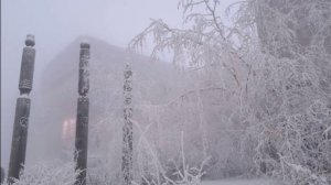 Якутск. зима