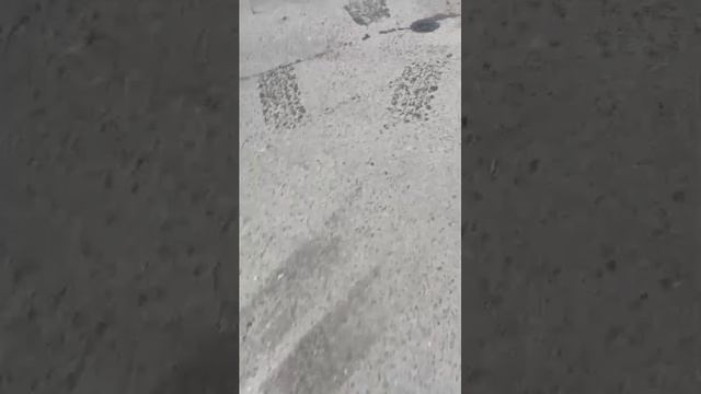 гуляем просто так смотреть онлайн