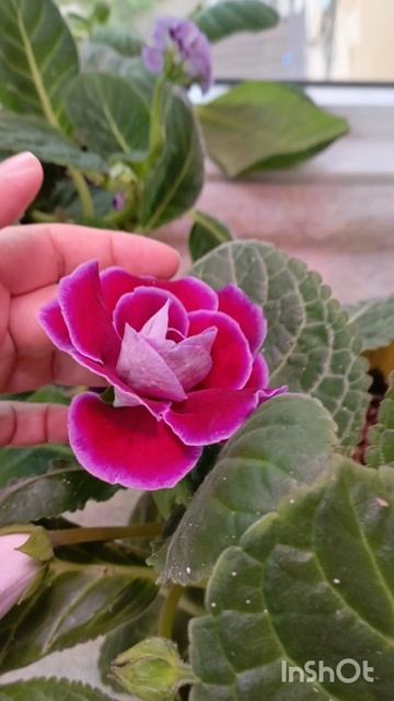 красавица какая посмотрите 😊 смотреть онлайн