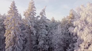 ЧУВАШСКАЯ ПЕСНЯ ПОД ГИТАРУ "Уяр та сивĕ"