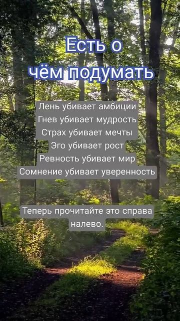 #мудрость #цитатыосмысле #цитатыпрожизнь #сильныесловасосмыслом #психология #душа #цитаты #пословицы