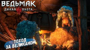 ПОХОД ЗА ВЕЛИКАНОМ ➤ Ведьмак 3 Дикая Охота #38