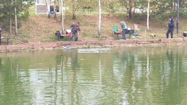 WhatsApp Video 2025-09-27 at 09.52.32 смотреть онлайн