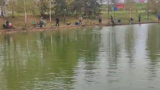 WhatsApp Video 2025-09-27 at 09.38.07 смотреть онлайн