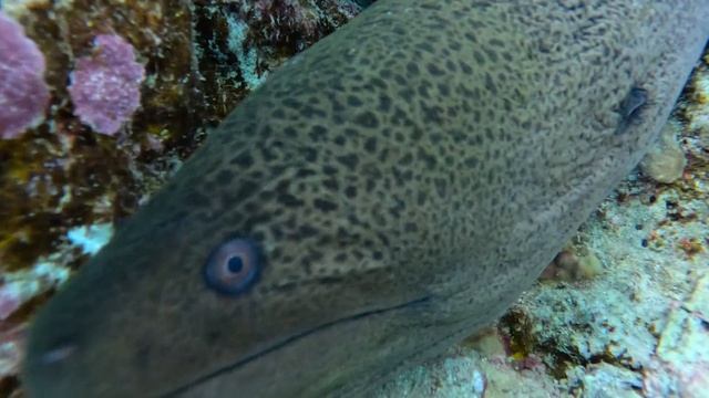 Подводный мир