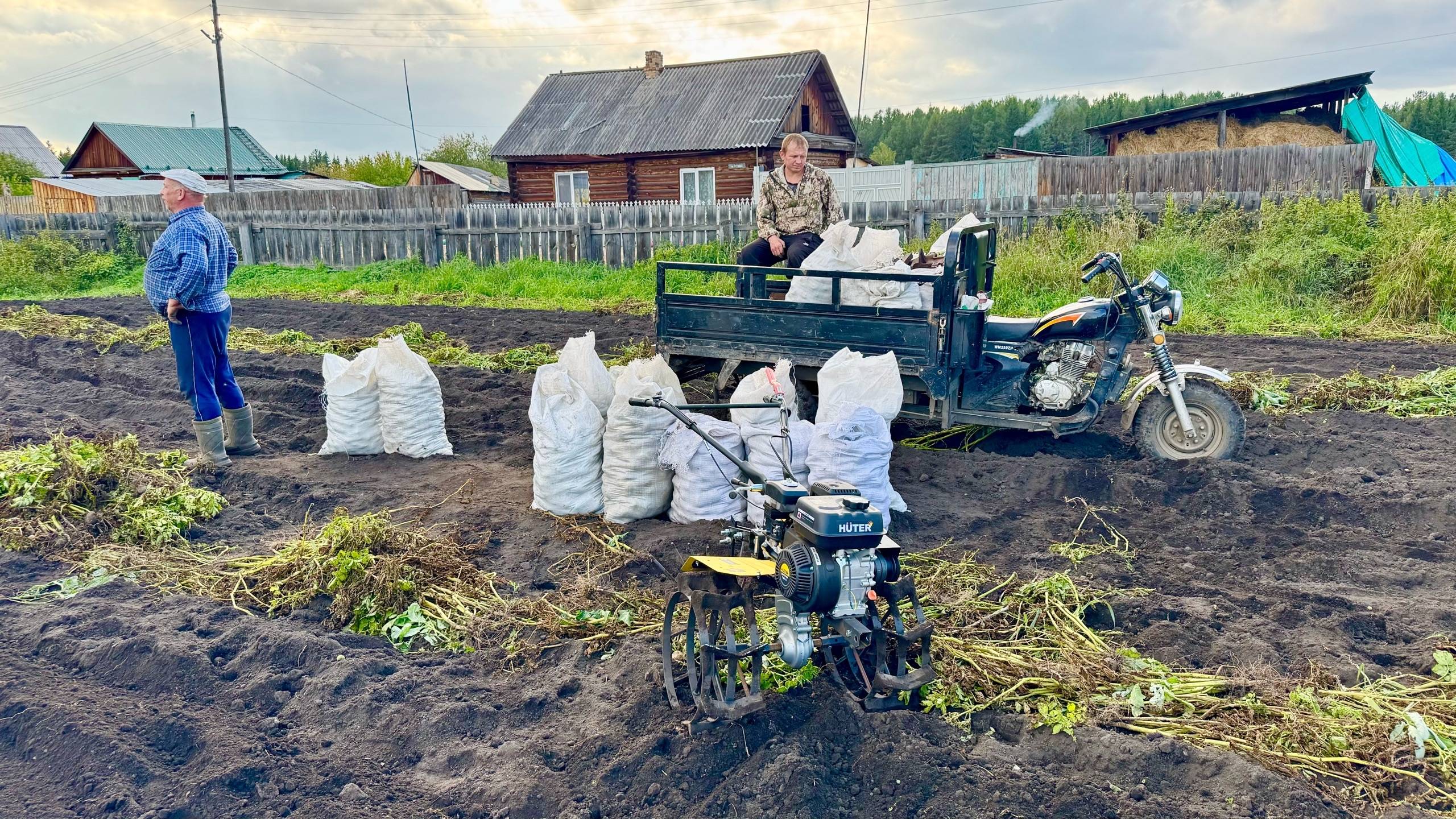 Копаем картошку в деревне. Первый выход на охоту по водоплавающей. смотреть онлайн